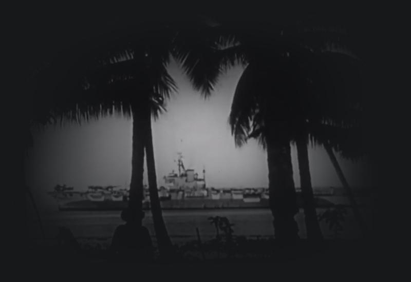 An aircraft carrier viewed though palm trees.