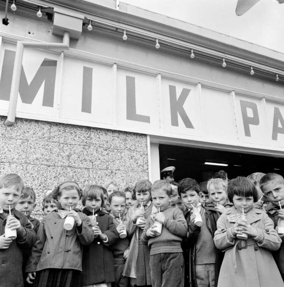 Children drinking milk at the Melbourne milk depot as part of the free school milk program.
