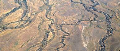 Aerial view of channel country showing alluvial plains dissected with multiple watercourses.
