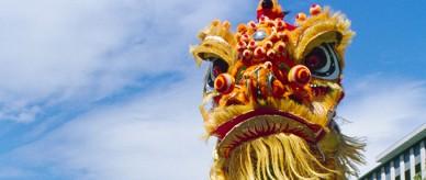 This is a photograph of a Chinese dragon at the Australia Day Festival, Canberra.