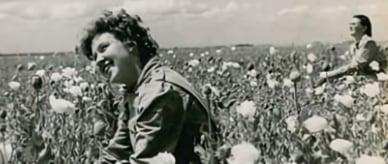 Woman with poppies at Werribee State Research Farm in Victoria